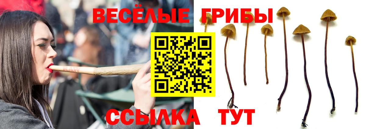 Амурск  Псилоцибиновые грибы ЛСД  купить наркотики сайты  Вход с VPN  Галлюциногенные грибы ЛСД 